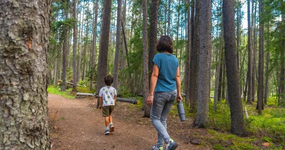 Anaheim Outdoor Guide: Best Hiking Trails, Biking Routes & Nature Spots